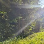 Raum und Zeit in Mensch und Natur