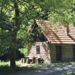 Dem Leben eine Stimme geben