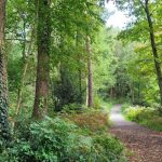 ein märchehafter Lebensweg