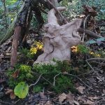 Wings In Their Power von Sarah Schmidt