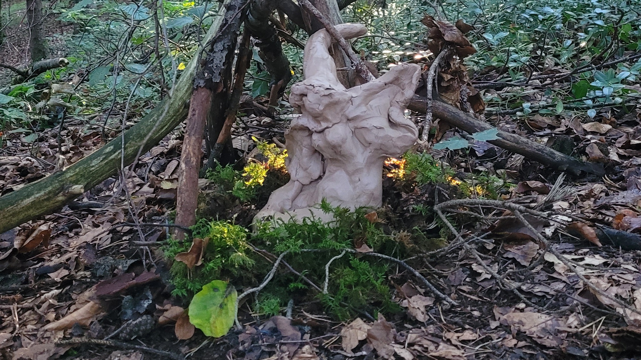 Wings In Their Power