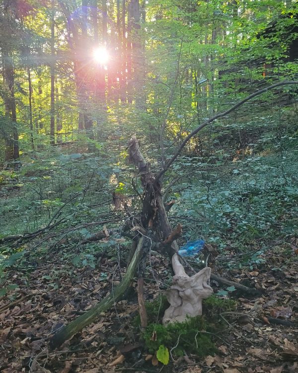 Wings In Their Power im Seelengebet